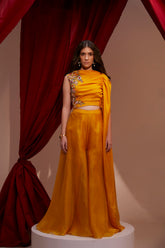 HAND EMBROIDERED ONE SIDED DRAPE BLOUSE PAIRED WITH ORGANZA SHARARA