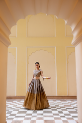 DUAL TONE TISSUE LEHENGA SET