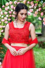 red lehenga set