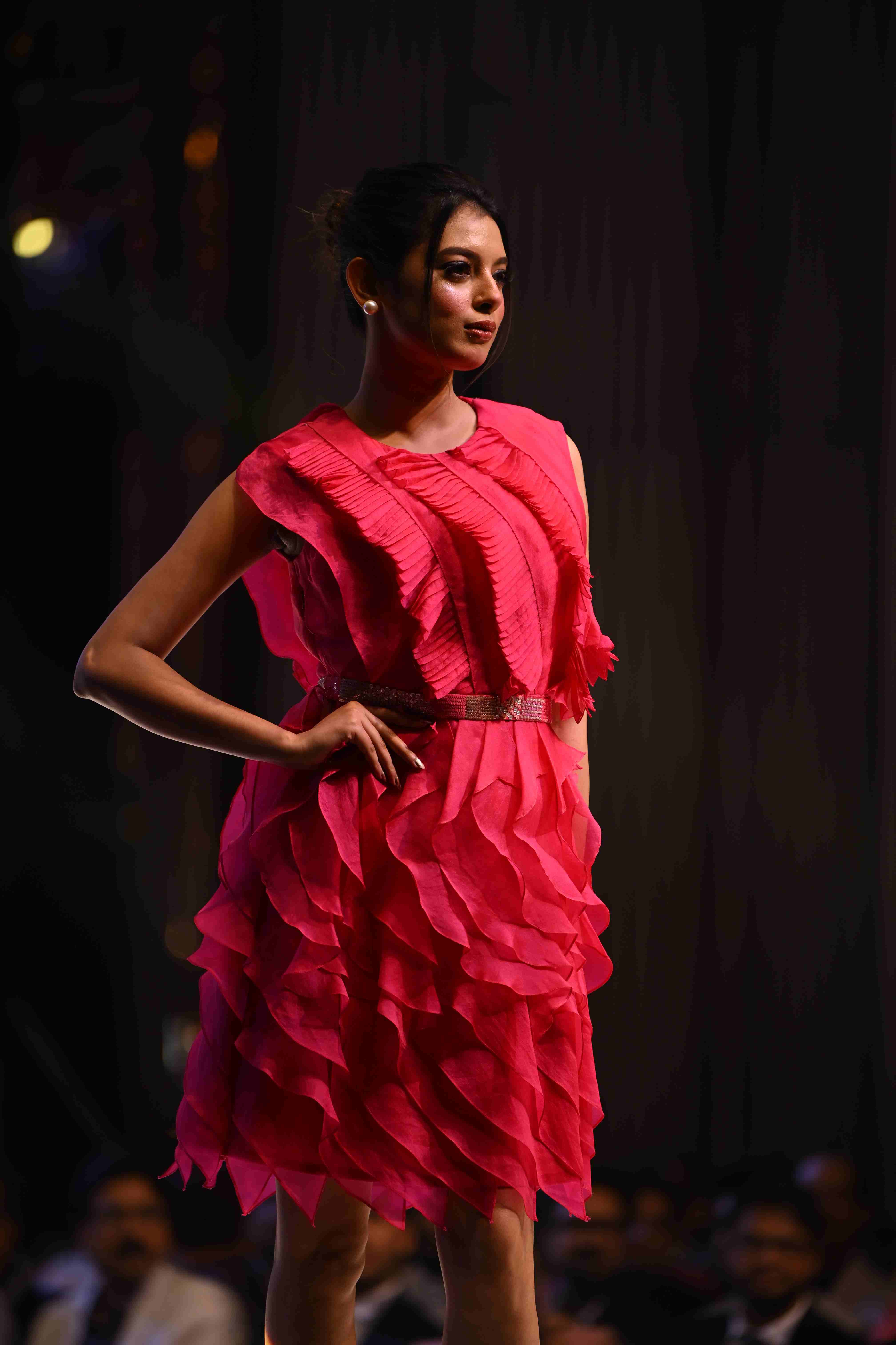 Fuchsia Ruffle Dress