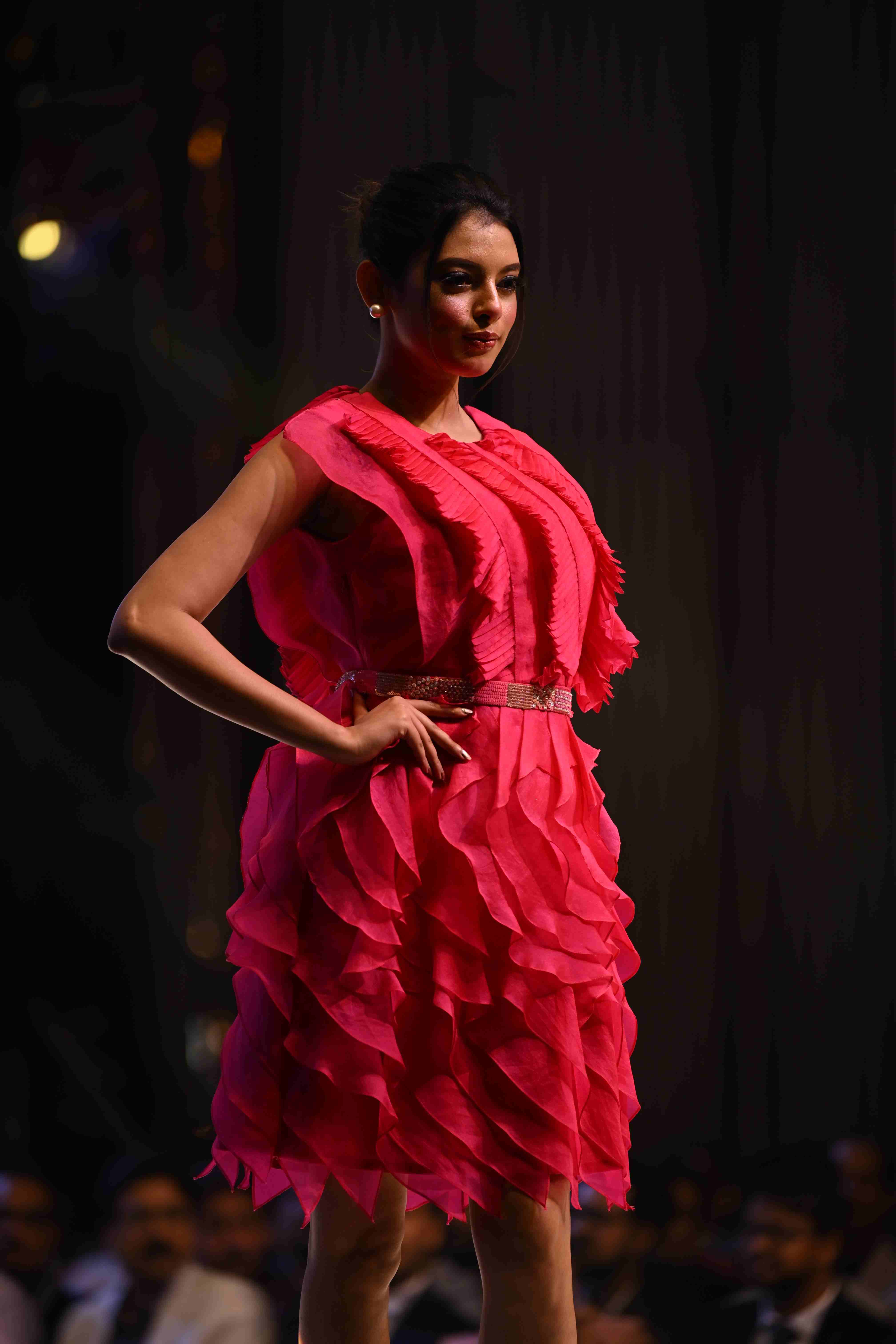 Fuchsia Ruffle Dress