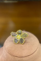 Disha ring