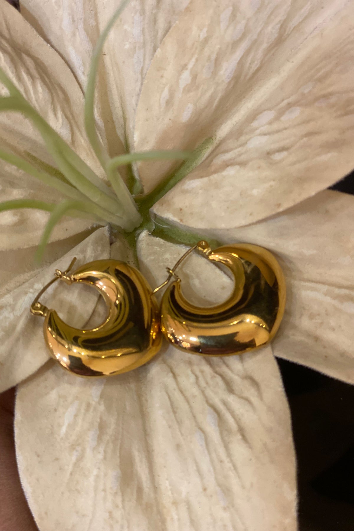 Nina earring